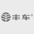 丰车（上海）信息技术有限公司